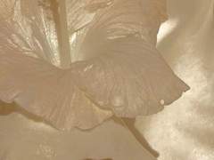 [랩진] 내 몸도 통역해 줘 (25)