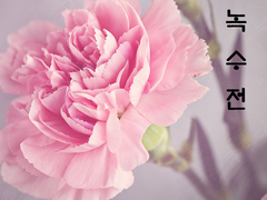 08: 시선의 높이