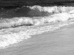 파도소리가 들리면 1