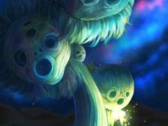 여행자 선인장 보고서