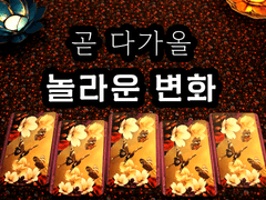 [타로] 곧 다가올 놀라운 변화