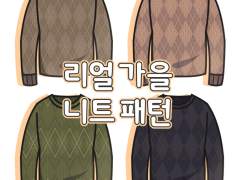리얼 가을 니트 패턴 판매