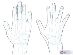 손바닥/손등 뼈 | 경혈 정리