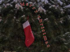 CHOMI │Snowy christmas 카카오톡 테마 AND/IOS (전체 공유)