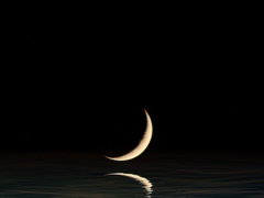 굿나잇, 마이 드림 2부