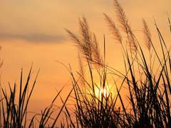 [리퀘스트] Stolen Memory