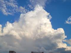 별이 떨어지는 밤에