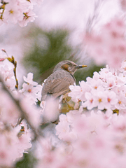드림,짧썰 저장소