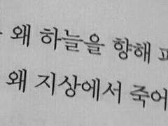 혈흔, 그리고 혈향.