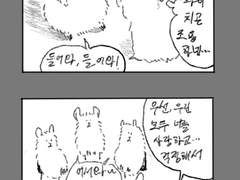 심각한 발효과일 중독 햄스터 햄스티나