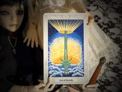 이번 주의 카드: Ace of Swords