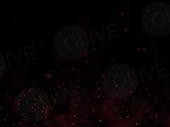 넘을 수 없는 벽