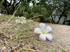 11월 13일) 사이클론 때문에...