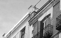 셴 바이 랑 22 夜光