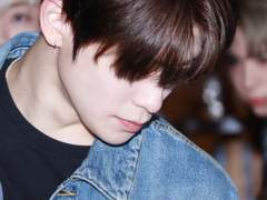 곰은 여우를 알아채지 못한다