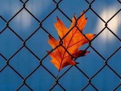 음성 메시지가 도착하였습니다.