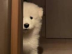 보고싶은거 써주세요