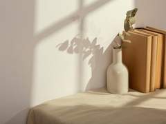 레이스 스톤 프로필