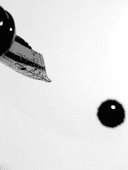 묘사 가득 문장