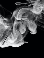 그는 모든 것을 알고 있었다