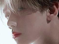 이 늑대가 당신을 평생 곁에서 돌볼 수 있습니다