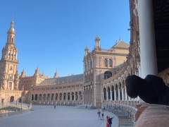 [시금치] 11월 19일 | 올해 알게 된 점