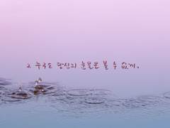 [느비예트] 그 누구도 당신의 눈물을 볼 수 없게. 9.