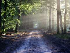 마음 속의 암실(暗室)