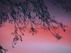 Romance Fantasy World💖(2)