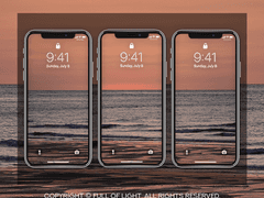 [배경화면] 들리는가, 이 소리. 꽃 소리 SET