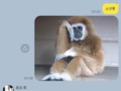 주술회전 네임리스 드림 썰 모음 8