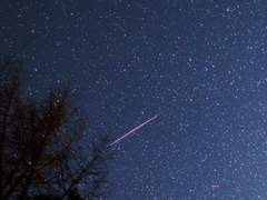 [화산귀환] 유성처럼 돌아온 너