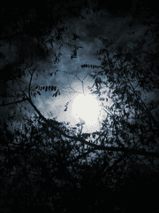 명탐정코난 드림 