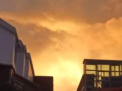 세상이 내일 멸망한다면,당신은 무엇을 하실건가요?