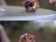 HQ수인고교입니다!