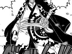 루샹 와노쿠니 들렸다가 모모노스케 때문에 질투폭발하는 루피