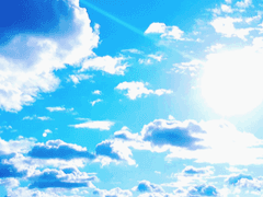 삶이 있는 한 희망은 있고, 네가 있는 한 나는 놀고 싶고!