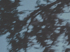 Aphantasia - 그리지 못 하는 사람