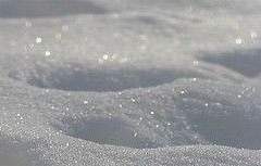 눈꽃 바다 인형극