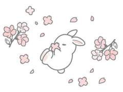 설유나 / 18 / 여 / 사진부