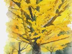 [긴히지] 은행나무(銀杏木)-上