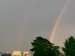 사춘기 가이드 07