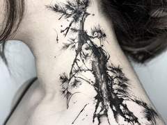 [시오남순]꽃이피지않는 나무(피스틸버스) (1)