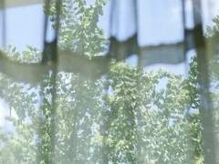 여름의 청춘을 너에게