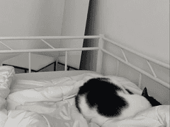 💫우당탕탕 동거 이야기 (8)