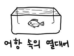어항 속의 열대어