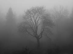 𝄞 본드 | 부대장 | 텔레포트