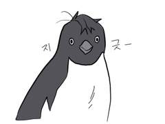 블랙배저 백업 6