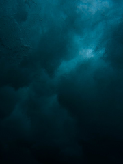 사랑하고 사랑하지 않는 너에게