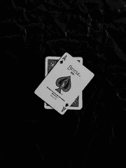 키드의 무뚝뚝한 조수님 